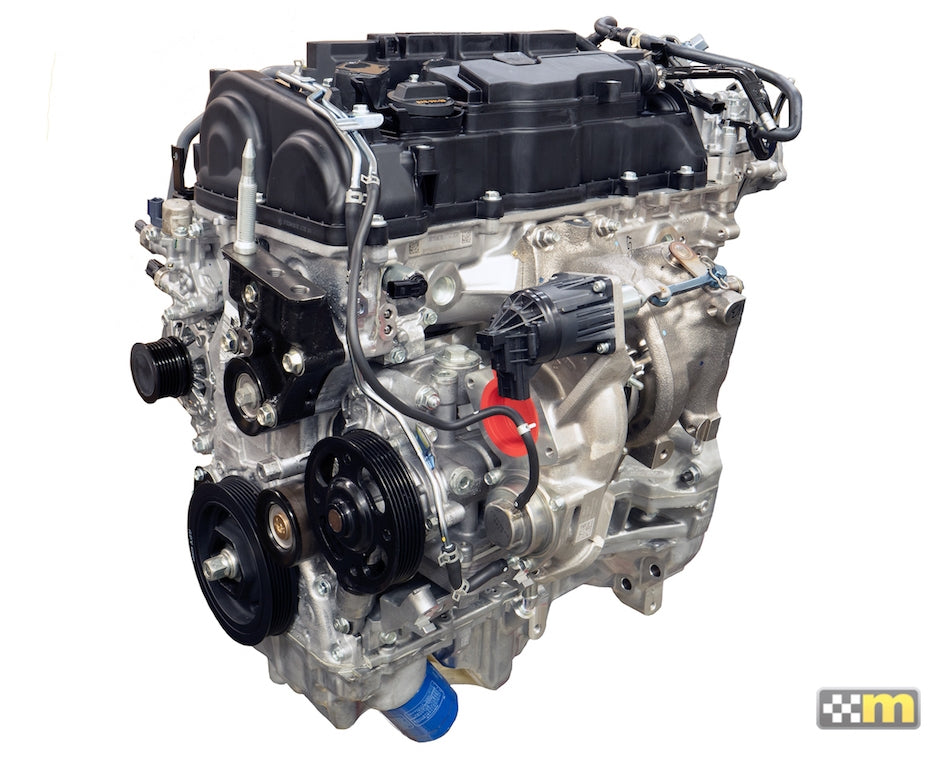 mountune High Performance 2.0L K20C1 N1 Long Block - Civic Type-R