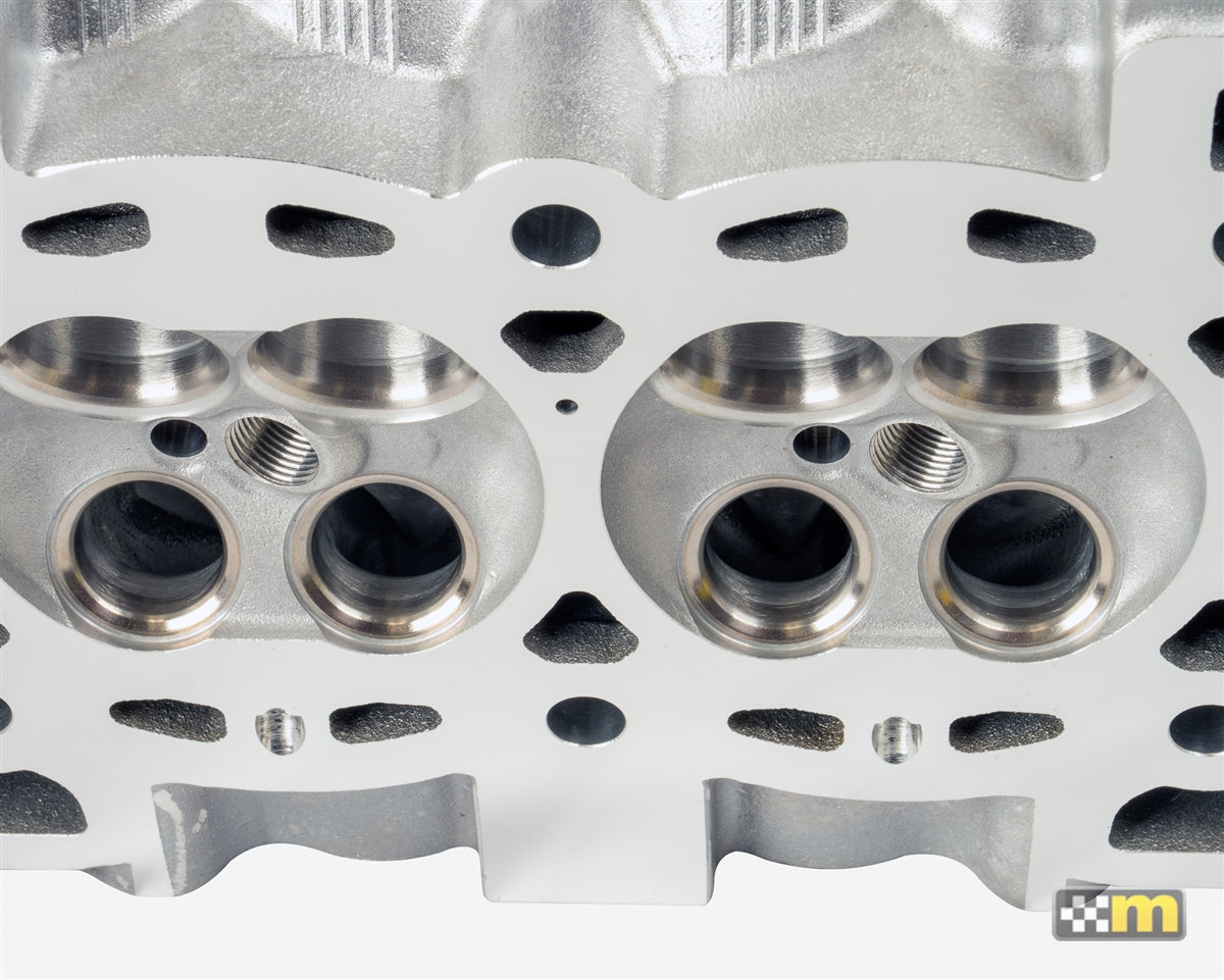 mountune MRX Cylinder Head w Camshafts - 1.6L EcoBoost