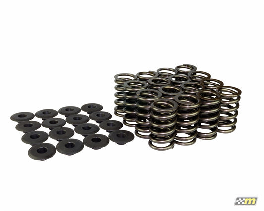 mountune Valve Spring Set (16) Single - 1.6L EcoBoost