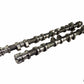 mountune Camshaft Kit - Ford 2.0L EcoBoost
