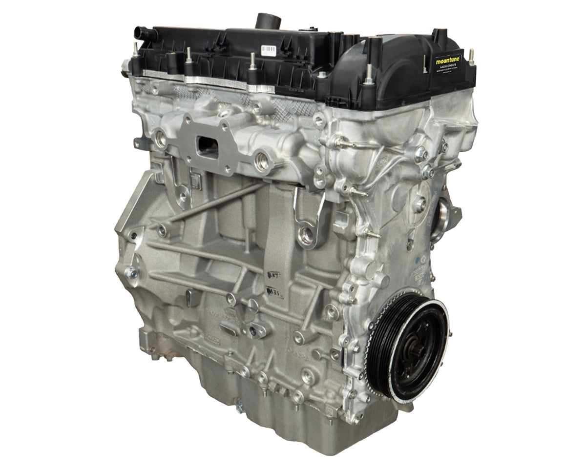 mountune High Performance 2.0L EcoBoost N1 Long Block - Focus ST ...